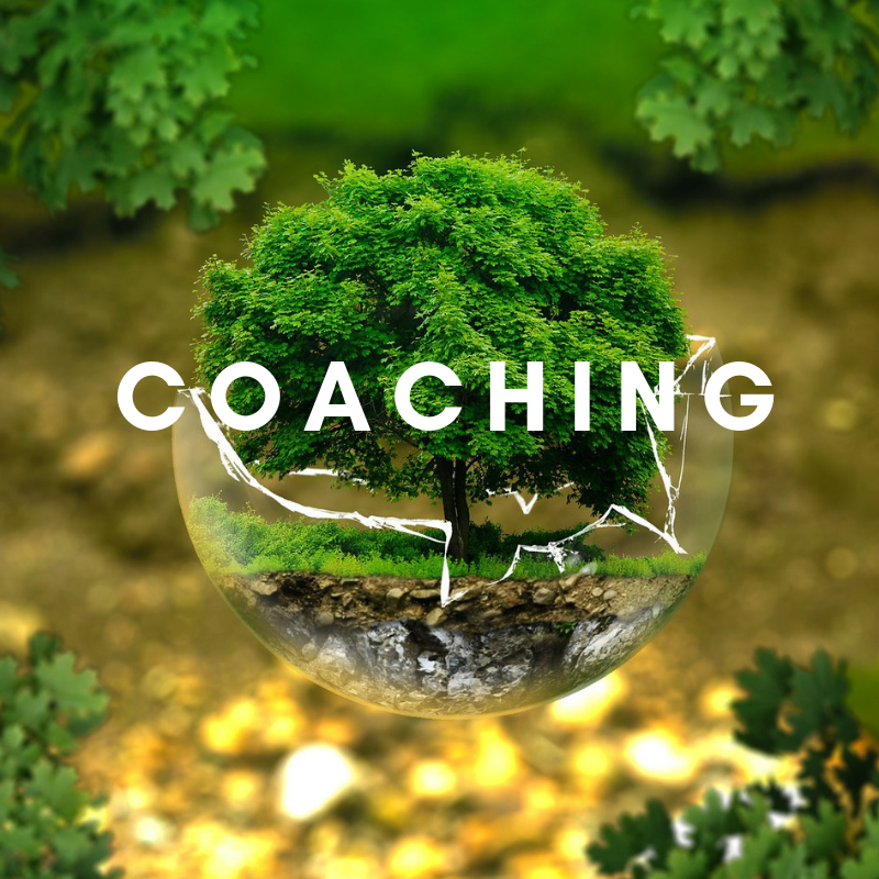 coaching